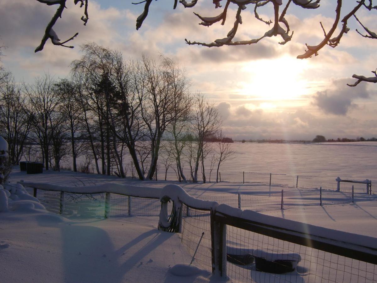 Byens Rareste B&B Harlev  Exteriör bild