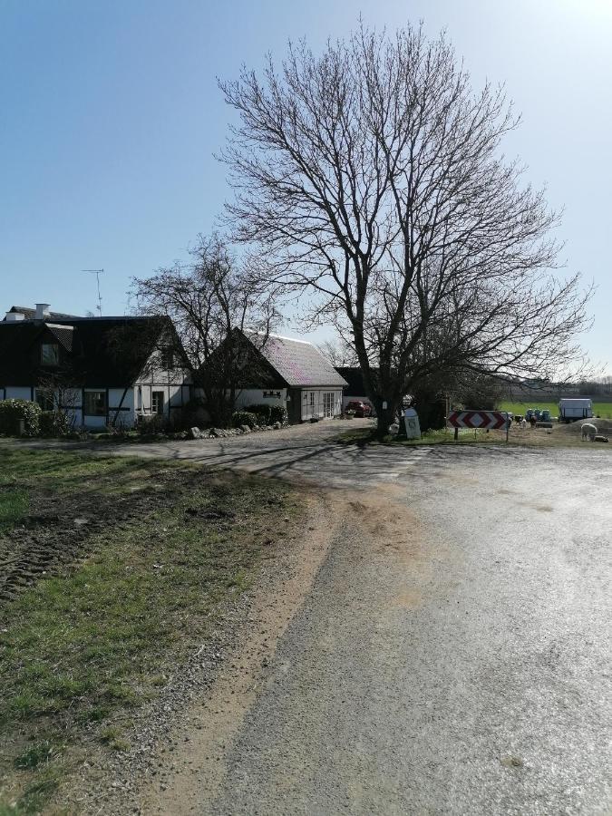 Byens Rareste B&B Harlev  Exteriör bild